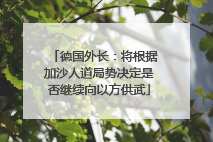 德国外长：将根据加沙人道局势决定是否继续向以方供武